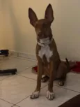 Mailow