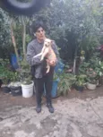 Thor e cacau 