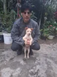 Thor e cacau 