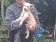 Thor e cacau 