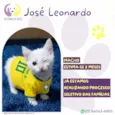 José Leonardo