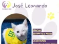 José Leonardo