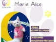 Maria Alice