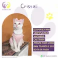 Cristali