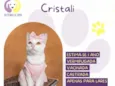 Cristali