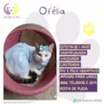Ofélia