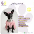 Luluzinha