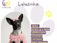 Luluzinha