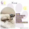 Kina