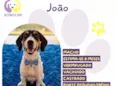João