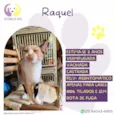 Raquel