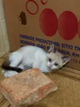 Ainda não possui nomes