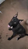Aquira