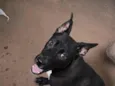 Aquira