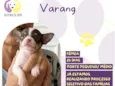Varang