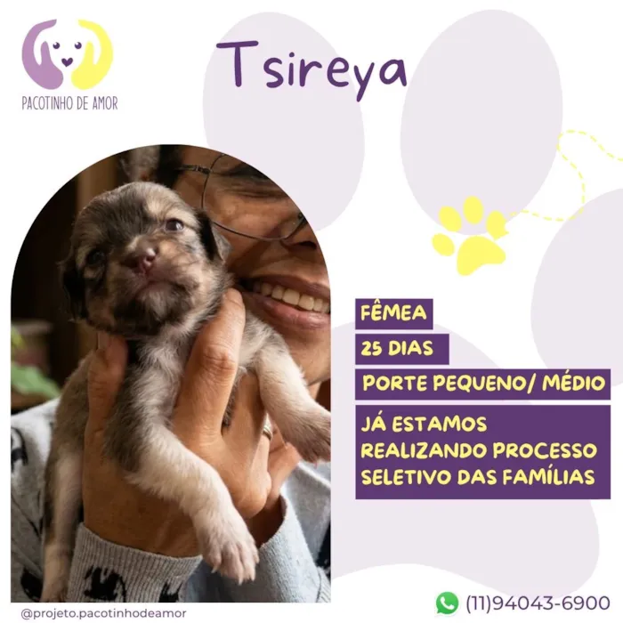 Cachorro raça SRD-ViraLata idade Abaixo de 2 meses nome Tsireya
