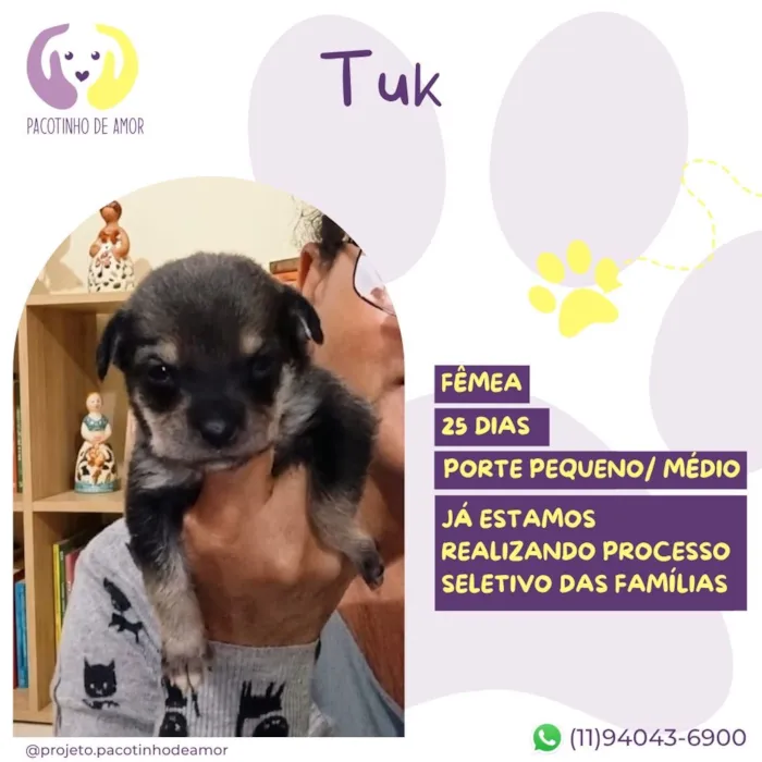 Cachorro raça SRD-ViraLata idade Abaixo de 2 meses nome Tuk