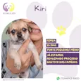 Kiri