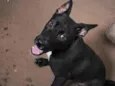 Aquira