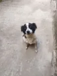 Nick