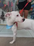 Magrelinho