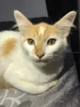 Mia