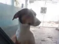 perigo