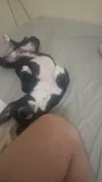 Negão