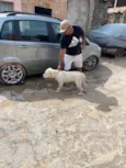 zeus