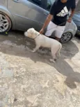zeus