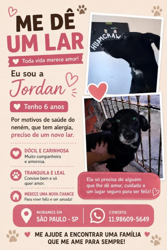 Cachorro raça SRD-ViraLata idade 6 ou mais anos nome Jordan