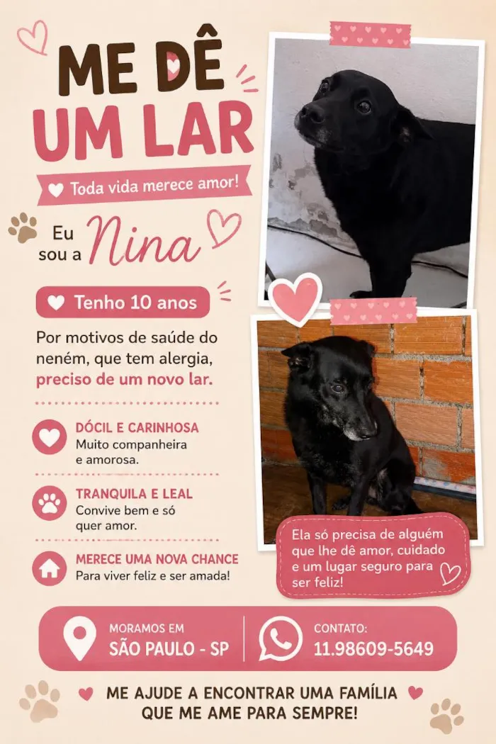 Cachorro raça SRD-ViraLata idade  nome Nina