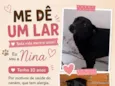 Nina