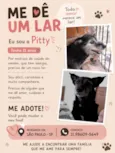 Pitty