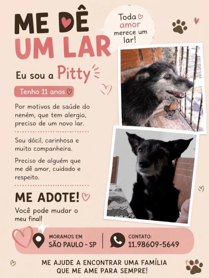 Cachorro raça SRD-ViraLata idade 5 anos nome Pitty