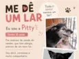 Pitty