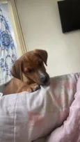 Kiara