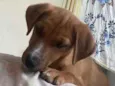 Kiara