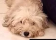 Boby 