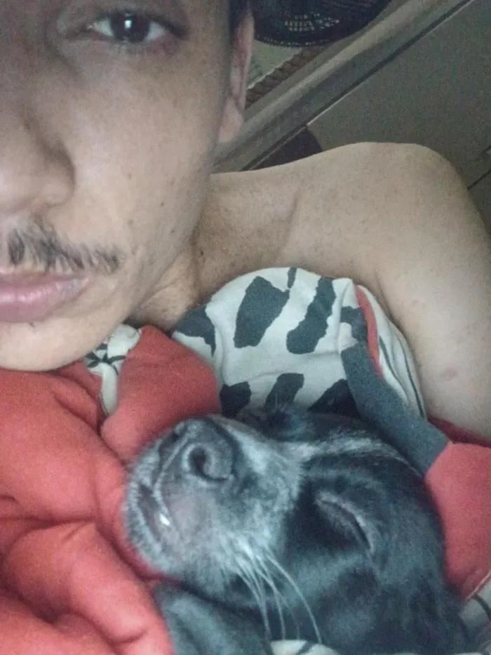 Cachorro raça SRD-ViraLata idade Abaixo de 2 meses nome luck