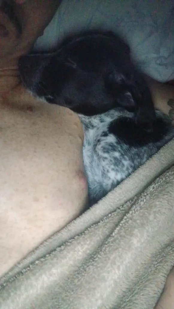 Cachorro raça SRD-ViraLata idade Abaixo de 2 meses nome luck