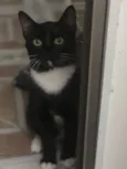 Lucky