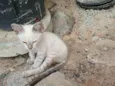 Yuki