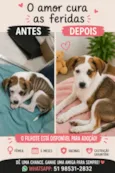 Amora ou Clarinha 5 meses (maio)