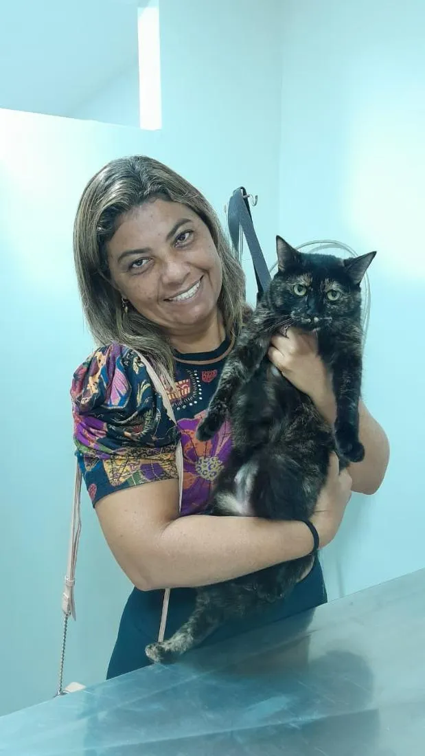 Gato raça SRD-ViraLata idade 1 ano nome Brigite