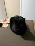 Fiona