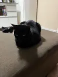 Fiona
