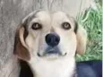 Charlie 