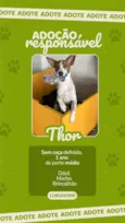 Thor