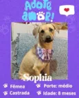 Sophia